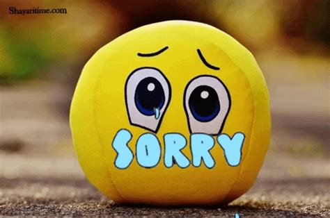 sorry sorry gif|sorry emoji gif.